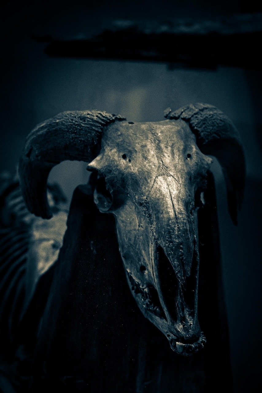 mummy, devil, museum, halloween, skull, horror, goat, lyon, confluence, egypt, devil, devil, devil, devil, devil, halloween, halloween, halloween, skull, horror, horror, horror, horror, horror, goat, egypt, egypt, egypt, egypt, egypt